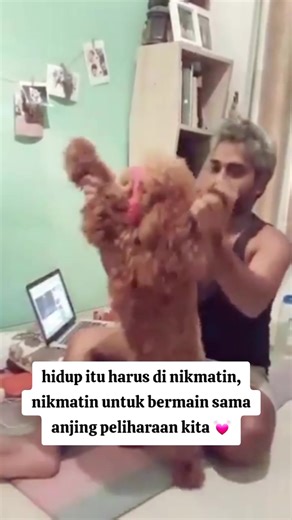 toby 😍 love bgt 😙💓 @rocky tahapary #doglover #xybca #dogloverforever
