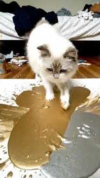 🎨 Artist Cat Unleashed: The Messy Masterpiece! 🐾