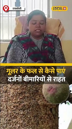 गूलर के फल से कैसे पाएं दर्जनों बीमारियों से राहत | #local18shorts