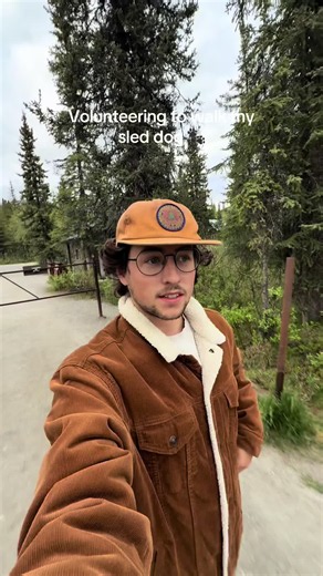 Walk My Sled Dog in Denali National Park — Volunteering with Apollo