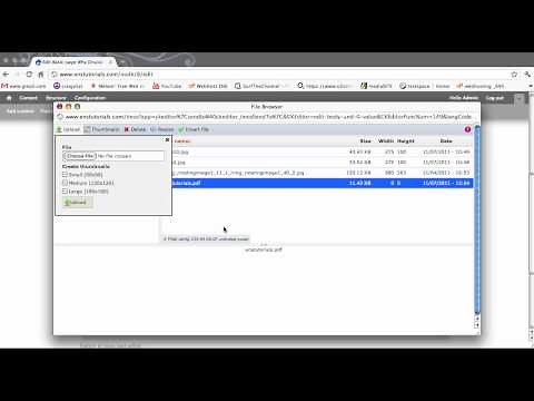 How to Create a link to a PDF
