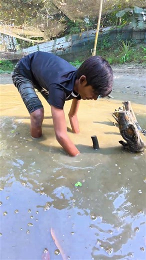 Village Boy Catches Giant Clown Knifefish with BARE HANDS! 🖐️🐟 #shorts