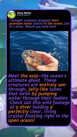 Why This Sea Creature Is Completely INVISIBLE! 🌊 #Ocean #Mystery #Wildlife