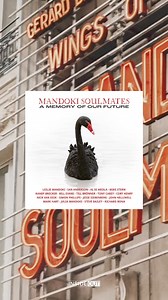 Con Ian Anderson (Jethro Tull), Al Di Meola, Bill Evans, Mike Stern (Miles Davis), Randy Brecker (Randy Brothers) y el trompetista de jazz alemán Till Brönner | Inside Out Music