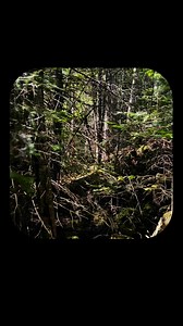 97K views · 3K reactions | Some Rezzy Motivation | Native Pool Boy | Facebook