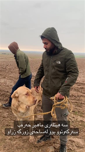 ##سەگی_پشدەر #سەگی_بەوەفا #fyp #foryow #@ماهر الشمري @Arsalan saydawa @Mahamdardalan🫶