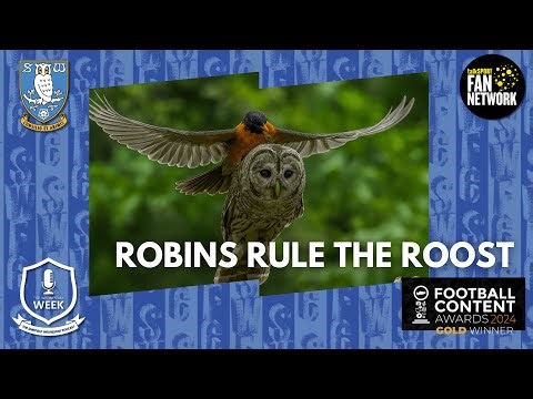 Robins Rule the Roost