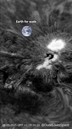 Looping Solar Flare! Sun's Surface Up Close // Captured From My Backyard #astronomy #space #science