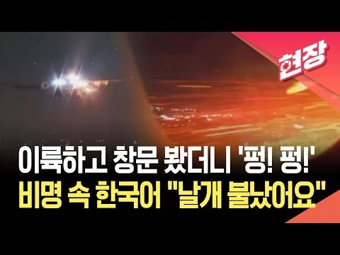 [현장영상] 델타항공 여객기 엔진 화재로 긴급회항…비명 속 “날개 불났어요” / KBS 2026.03.31.