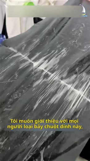 🐭 CHUỘT LỚN – CHUỘT NHỎ,KEO SIÊU DÀY ĐÃ DÍNH LÀ KHÔNG THOÁT 🐭 🚫 Bẫy keo dính chuột siêu dài 1m2 – chắn kín cửa, ngăn chuột xâm nhập hiệu quả. 💲 Chỉ 49K/miếng dài 1m2 – bảo vệ ngôi nhà khỏi lũ chuột phá hoại. ✅ Bản to rộng 28cm – chặn cả lối đi, chuột không thể né tránh. ✅ Keo siêu dính nhập khẩu – chỉ cần chạm nhẹ là dính chặt, kể cả chuột to. ✅ Đặt được ở không gian rộng: cửa ra vào, nhà kho, bếp, khách sạn… ✅ An toàn – không mùi – không độc hại. 🚚 Giao hàng toàn quốc – Nhận hàng kiểm tra 