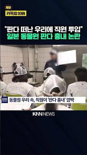 "People in cages instead of pandas?" Controversy over '70,000 won per person' imitation tour / KNN