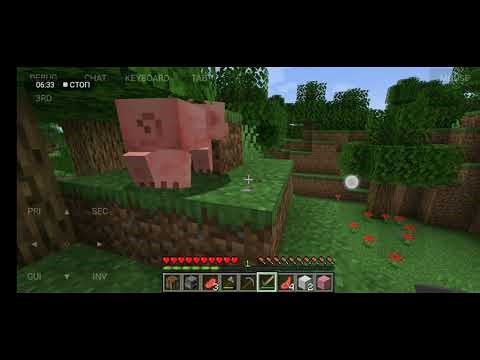Minecraft Java Edition 1.16.5 Gameplay Part1