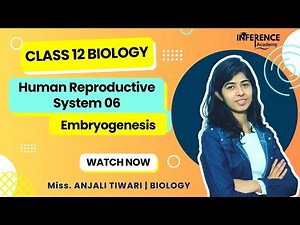 Class 12 Biology| Human Reproductive System 06|Embryogenesis