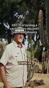 Today’s plant is Espatoa Mirabilis - once mature it grows this incredibly fluffy cefalum which is where the flowers and fruit are produced. So fun to see Dad trialling this for the first time. 😊🌵 | Cactus Country