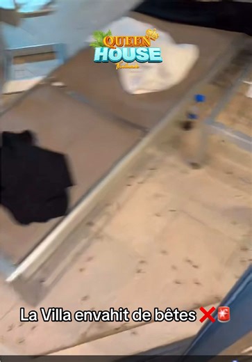 La Villa envahie par des bêtes en Thaïlande