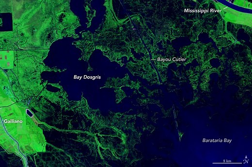 Forty Years of Change in Louisiana’s Wetlands - NASA Science