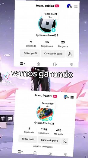 Explore Unique Roblox User Profiles and Teams