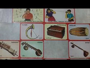 Musical Instruments Names