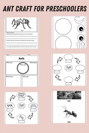 Ant Craft for Preschoolers