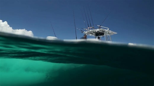 63K views | Lightweight, efficient, and reliable 4-stroke power on the water. | Suzuki Marine USA | Facebook