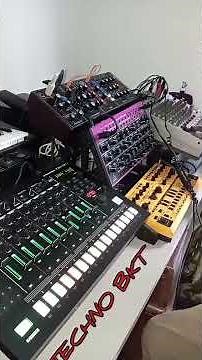 Roland tr8s vs Behringer Model D