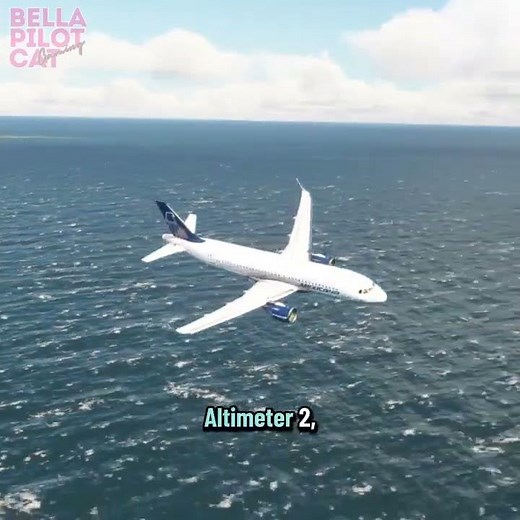 What Airbus pilots experience every single flight 🌊 #Aviation