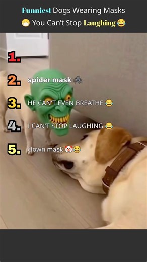 Funniest Dogs Wearing Masks 😷 You Can’t Stop Laughing 😂#shorts