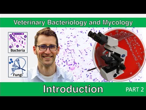 Introduction to Microbiology - Part 2