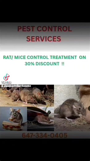 #ontario #brampton #realestate #londonontario #caledon