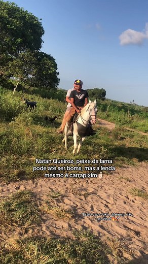 @Ⓜ️arcelinno #fyyyyyyyyyyyyyyyy #viralvideos #tiktokviral #vaquejada #capaloka #vaqueiros