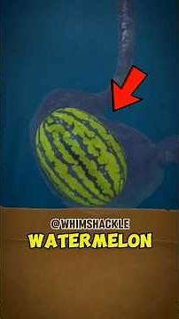 Why Watermelon Seeds Won’t Grow Inside You 😱