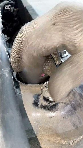 Toyota Camry front Wheel shock absorber and strut mount replacement