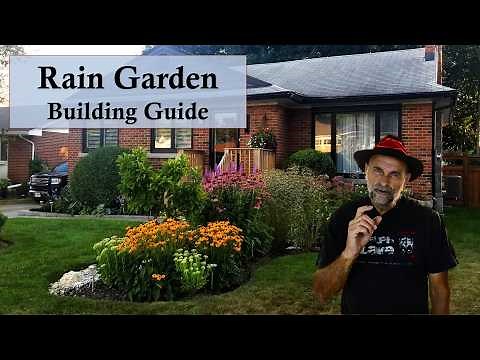 Build a Rain Garden ☔️🌊❄️ Step by Step Instructions that Makes it Easy