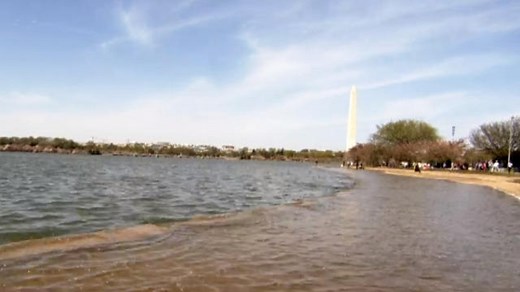 Tidal Basin faces uncertain future with rising waters - WTOP News