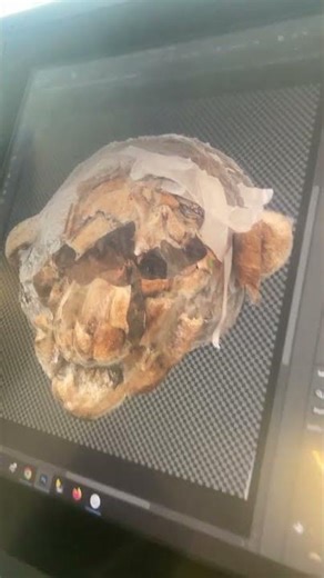 Digitizing Bread Sculpture for Animation | Texture Scan Workflow in Photoshop