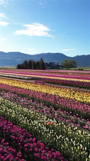 ADVENTURE AWAITS 🇨🇦#shorts