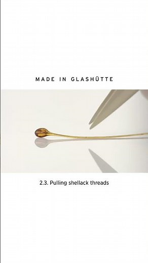 Shellac is a unique lacquer, produced by female lice of the kerria lacca species. #nomosglashuette