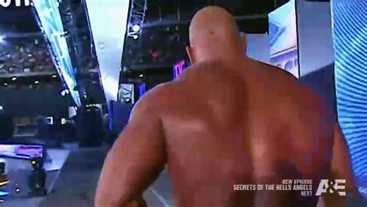 WWE Legends Biography Stone Cold Steve Austins Last Match