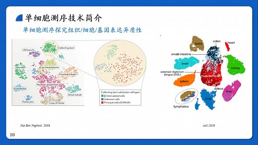单细胞测序介绍与原理