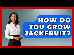 How Do You Grow Jackfruit? - Exploring Southeast Asia