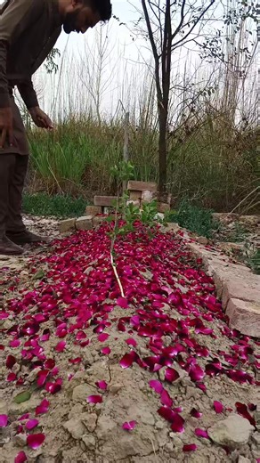 #bbbbbbbbbbbbbbbbbbbbbbbbbbbbbbbbb #bbbbbbbbbbbbbbbbbbbbbbbbbbbbbbbbb