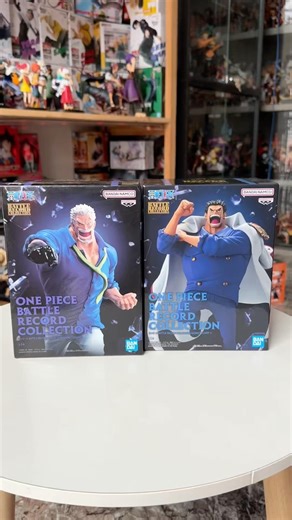 Garp Battle Record Collection Model