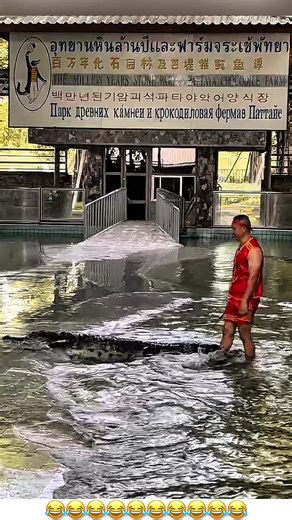 Hilarious Prank Videos That Will Make You Laugh