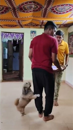 Postbox Live - Technology, Artificial Intelligence, News