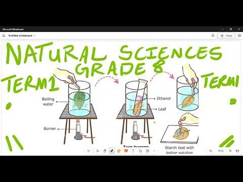 Natural Sciences Grade 8 Practical Investigation Photosynthesis and respiration Term 1