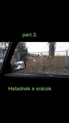 István Szernyi Ziles на TikTok