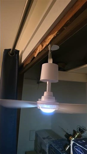 TREVA canopy mini ceiling fan