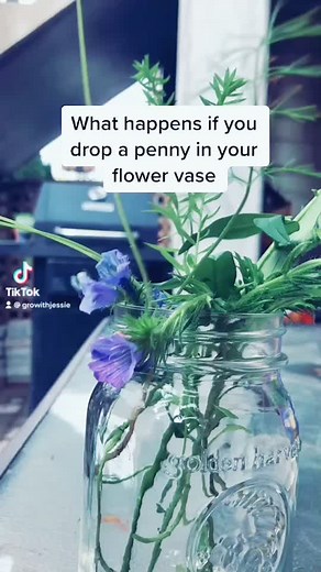 Copper Plant Tips: Grow Your Plants with Penny Power