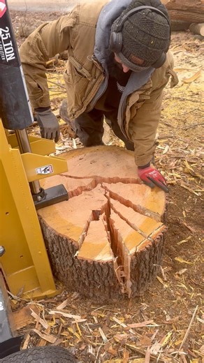 Splitting big rounds with log splitter #firewood #asmr #satisfying #diy #pov #homestead #stihl #work