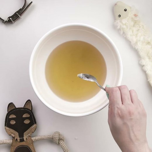 DIY Pet Odor Deodorizer with Young Living Essential Oils